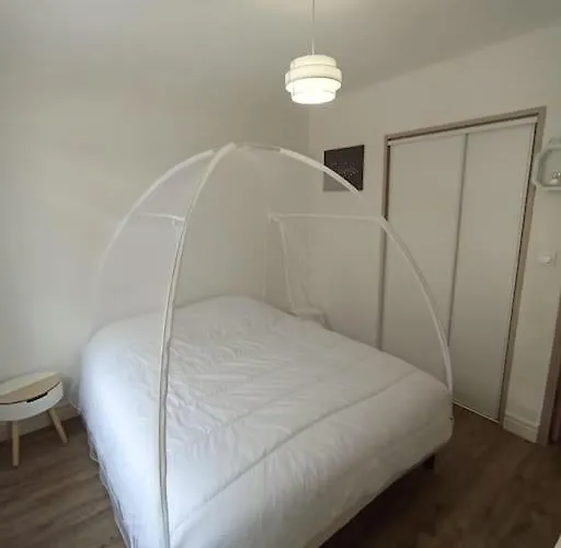 Joli T3 Cosy Netty Proche Centre-ville